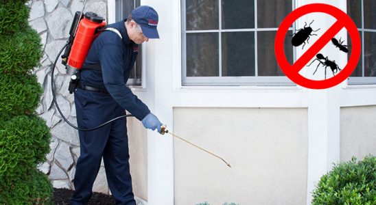 Eleşkirt Hamam Böceği İlaçlama böcek ilaçlama ve haşere kontrolü — ilaclama-tr.com